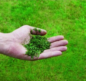 Kosiarka spalinowa Einhell Petrol lawn mower GC-PM 51/3 S HW-E (red/black, with wheel drive) 5