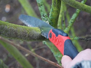 SILKY Silky Pruning Saw F180 180-7,5 rough (143-18) 3