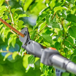 Sekator Gardena HighCut 250/18V P4A solo nożycowy 12