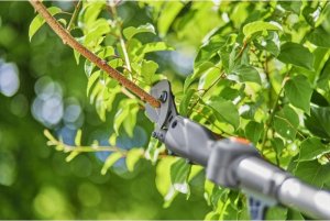 Sekator Gardena GARDENA Cordless Telescopic Pruning Shears HighCut 250/18V P4A Ready-To-Use Set, 18V (dark grey/turquoise, Li-Ion battery 2.0Ah, POWER FOR ALL ALLIANCE) 10