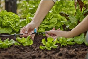 Gardena GARDENA Micro-Drip-System Small Area Nozzle, 10 pieces (black/turquoise, model 2023) 2