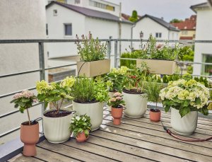 Gardena GARDENA Micro-Drip-System drip irrigation set balcony, 15 plants, drippers (black/grey, model 2023) 3