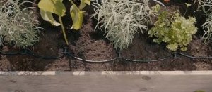 Gardena GARDENA Micro-Drip-System drip irrigation set balcony, 15 plants, drippers (black/grey, model 2023) 4