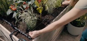 Gardena GARDENA Micro-Drip-System drip irrigation set balcony, 15 plants, drippers (black/grey, model 2023) 5