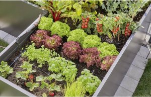 Gardena GARDENA Micro-Drip-System drip irrigation set balcony, 15 plants, drippers (black/grey, model 2023) 7