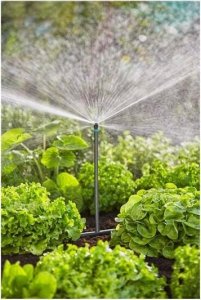 Gardena GARDENA Micro-Drip-System drip irrigation set vegetable/flower bed 60m2, dripper (black/grey, model 2023) 7