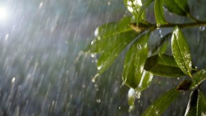 Philips Philips Hue Calla LV słupek inox 10