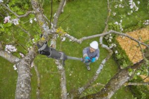 Sekator Gardena HighCut 360/18V P4A solo nożycowy 4