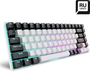 Klawiatura Sharkoon SGK50 S3 White, Gateron Yellow 2