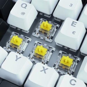 Klawiatura Sharkoon SGK50 S3 White, Gateron Yellow 3