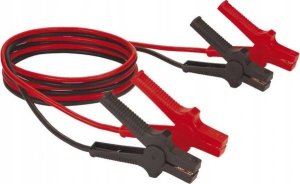 Einhell Einhell jumper cable BT-BO 16/1 A, 3 meters (black/red, with carrying case) 1