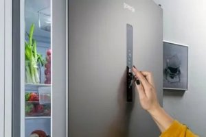 Lodówka Gorenje gorenje N619EAXL4, fridge/freezer combination (stainless steel) 6