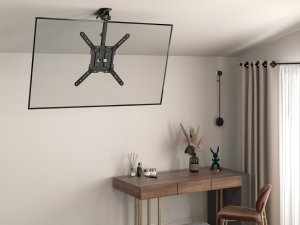 Equip Equip Deckenhalterung 23"-55"/  1TFT 20kg fest            sw 2