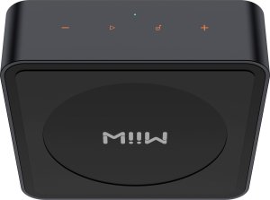 WiiM WiiM Pro Plus - Uniwersalny streamer audio klasy hi-end Roon Ready 17