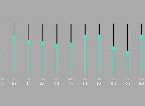 WiiM WiiM Pro Plus - Uniwersalny streamer audio klasy hi-end Roon Ready 7