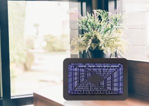 Noveen Lampa Owadobójcza NOVEEN IKN590 LED 7