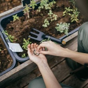 Fiskars Fiskars Solid 1072102 4