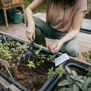 Fiskars Fiskars Solid 1072102 5