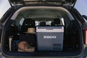 Lodówka turystyczna Igloo ICF18, cool box (blue) 15