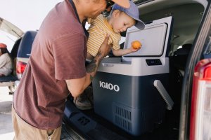 Lodówka turystyczna Igloo ICF18, cool box (blue) 16