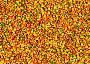 Schmidt Spiele Schmidt Spiele Haribo: Picoballa, puzzle (1000 pieces) 2