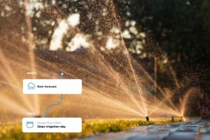 Shelly Shelly 1 Mini Gen3, relay (blue) 7