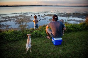 Coleman COLEMAN 16 QT Excursion lodówka 7