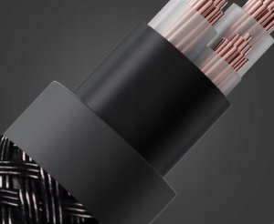 Kabel FiiO FiiO LT-TC5S  - 10cm - Kabel UBS-C na USB-C (zasilanie/dane) 5