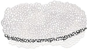 Alessi Alessi Opus Centrepiece 60cm GV32 3