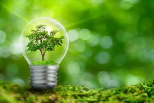 Zamrażarka Gorenje Zamrażarka FH30EAW 8