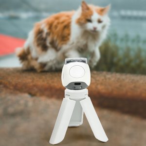 LoveInstant Zestaw 5w1 Akcesoria Etui Album Naklejki Ramki Statyw Do Fuji Instax Pal / Biały 13