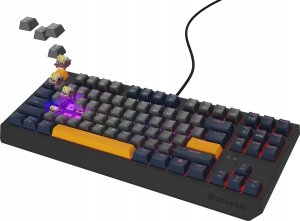 Klawiatura Genesis Thor 230 TKL Outemu Panda (NKG-2164) 3