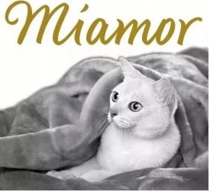 Miamor MIAMOR SENSIBLE SNACK Przysmak Kurczak 30g dla kociąt 5