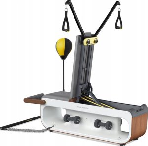 King Smith Multifunkcyjna ławka treningowa FBB1C 2