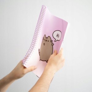 Pusheen Pusheen - Skoroszyt A4 z gumką + 30 przezroczystych koszulek 6