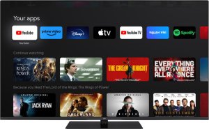 Telewizor JVC LT-55VGQ8255 QLED 55'' 4K Ultra HD Google TV 1