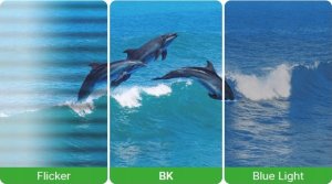 Projektor Vivitek 190,5 cm (75"), 4K-UHD, 69 kg (Gross Weight) (wysyłka towarów) 7