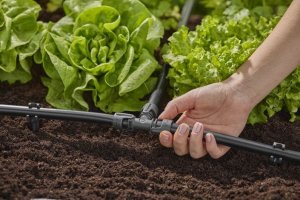 Gardena Gardena MDS T-Stück 13 mm (1/2") - Inhalt: 2 Stück 5