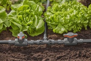 Gardena Gardena MDS T-Stück 13 mm (1/2") - Inhalt: 2 Stück 6