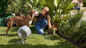 Wentylator Shark FA220EU Ventilator weiß 9