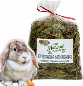 Alegia Mniszek lekarski 300g 2