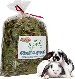 Alegia Mniszek lekarski 300g 4