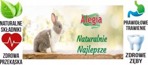 Alegia przysmak Chipsy Topinambur 70g 5