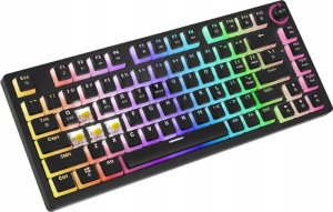 Klawiatura Savio Phenix Gateron Yellow Pro Pudding 4