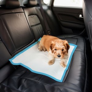 Pettigo PODKŁADY HIGIENICZNE 60x60 CHŁONNE MATY dla PSA NAUKA SIKANIA - 100 szt 3