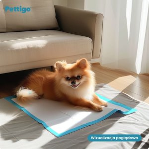 Pettigo PODKŁADY HIGIENICZNE 60x60 CHŁONNE MATY dla PSA NAUKA SIKANIA - 100 szt 4