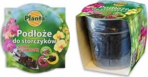 Planta Ziemia do storczyków z doniczką zestaw 0,65 L 1