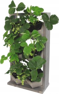 Wamar-Sosenka Drewniany ziołownik kwietnik wertykalny RD-8/2x3 - Szary 4