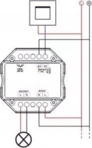 Tuya Przekaźnik 1 obwód WiFi + RF2.4 Seria SD TUYA 5