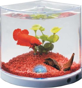 Happet Happet LED akvariumas gaideliui 2